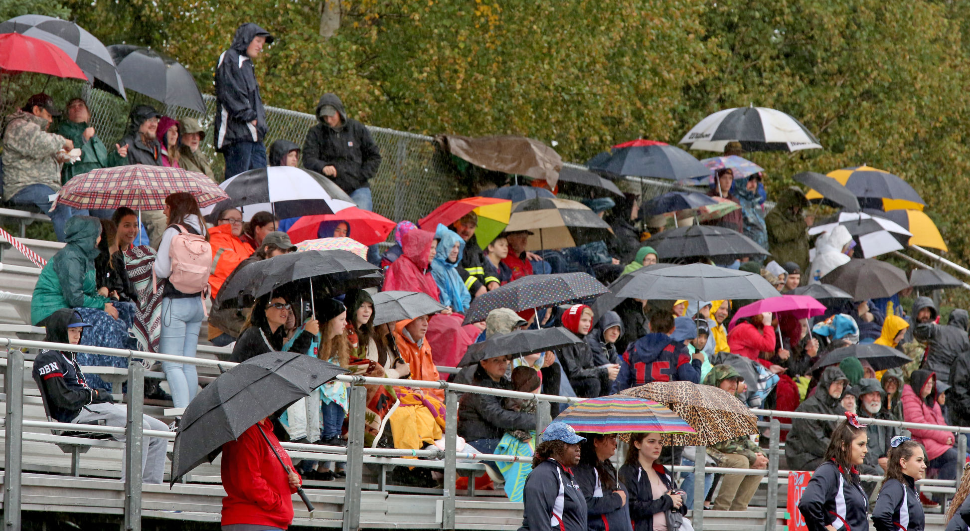L16umbrellas